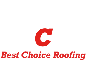 BCR logo white