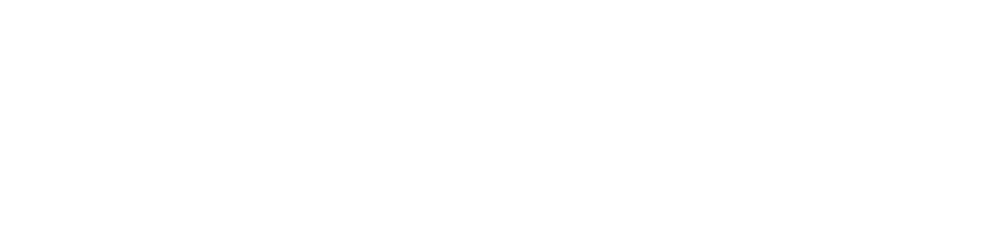 Bodenvy logo w text white fill no bg
