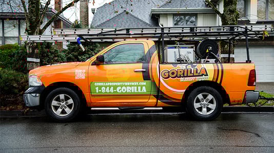 Gorilla-Webinar_Carousel-Image_4