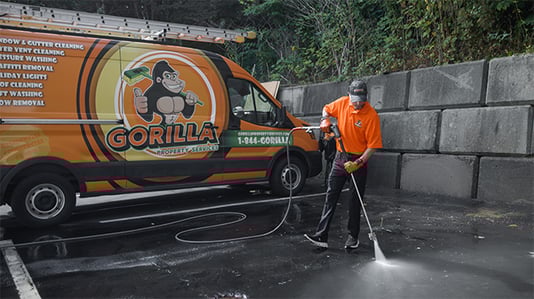 Gorilla-Webinar_Carousel-Image_6