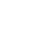 realclean-bullet-icon-white (1)